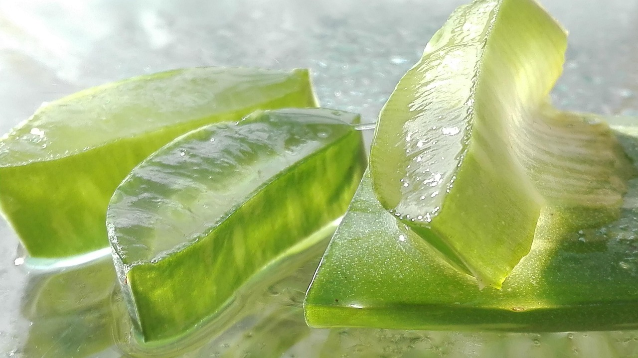 Aloe Vera Pura: Benefici per Capelli e Cuoio Capelluto